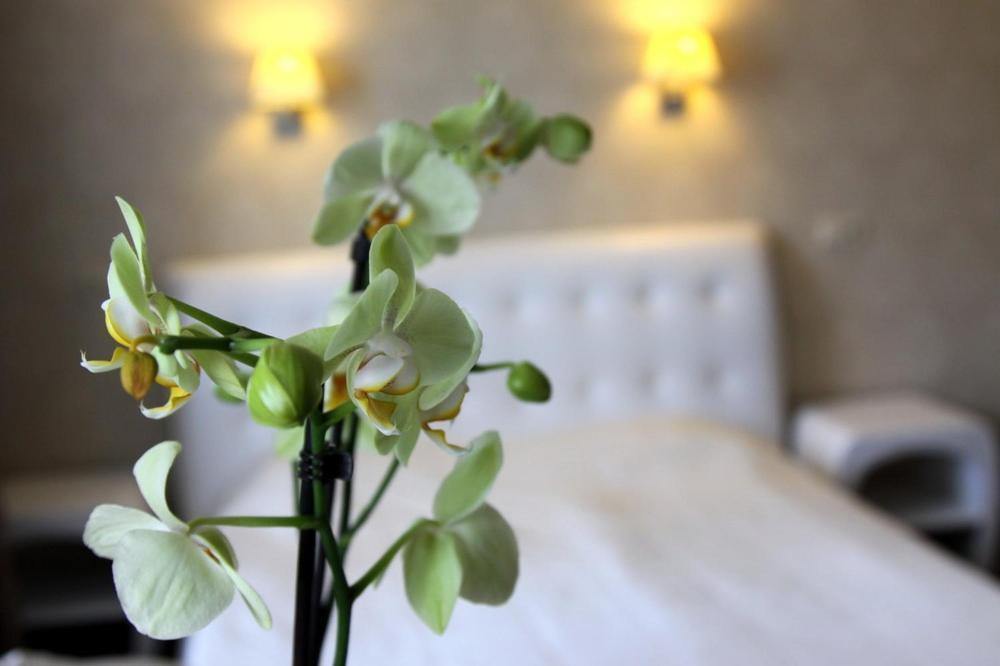 Hotel Felicia Riga Eksteriør bilde
